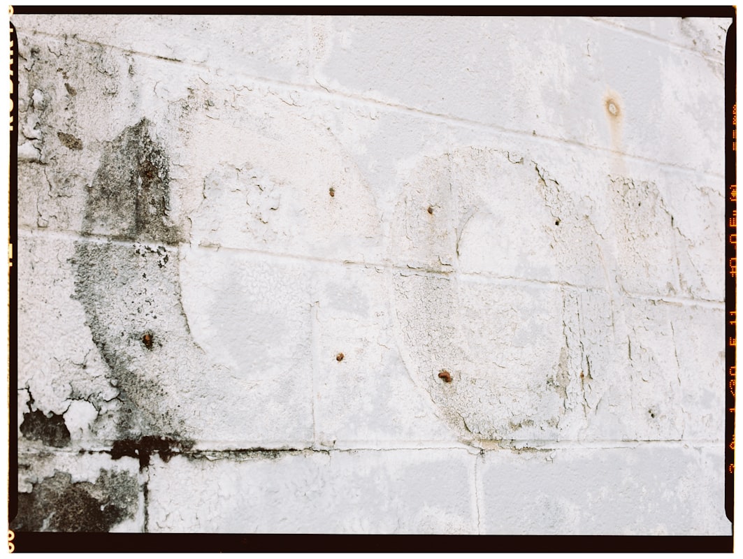 Mold Remediation service in Flint, MI